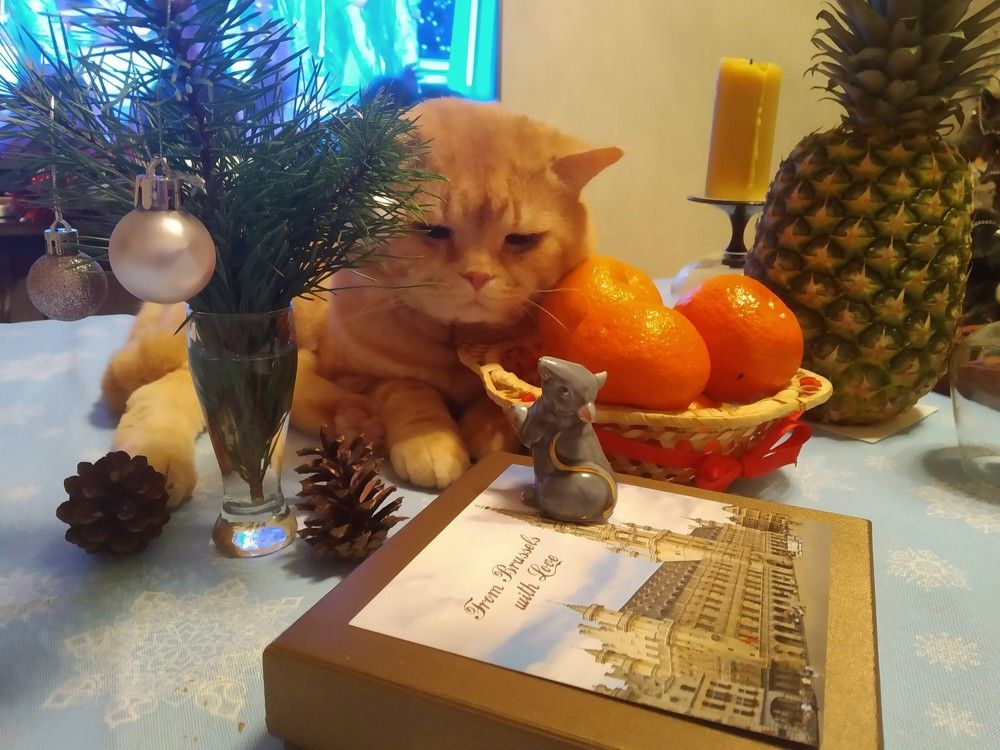 Photograph by Ия Дирко