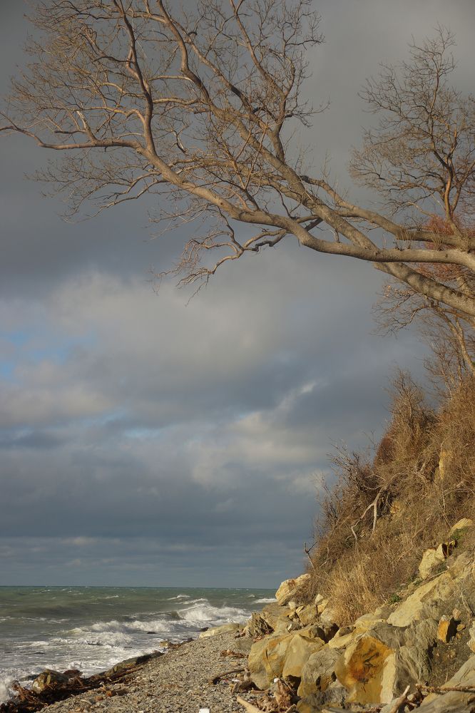 Фотография автора Татьяна Брык