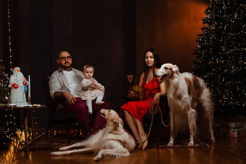 Photograph by Катерина Гущина