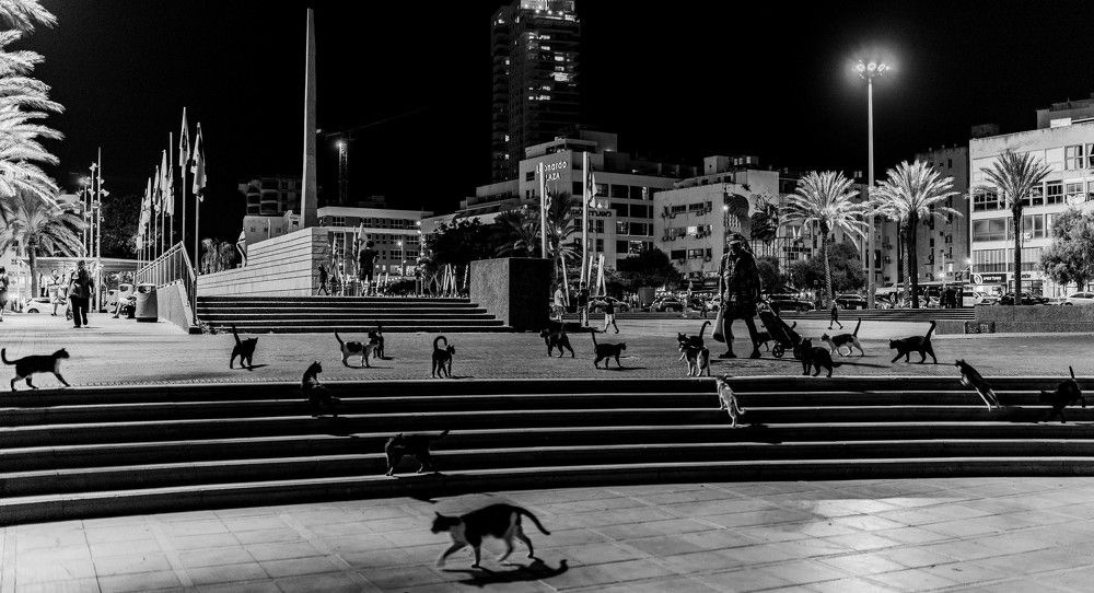 Photograph by Igor Shulkin