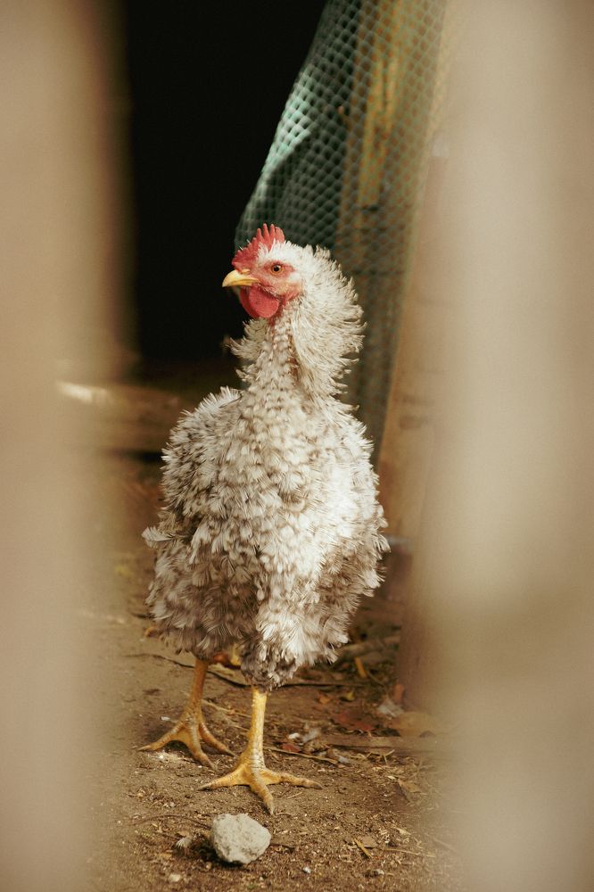 Фотография автора Татьяна Брык