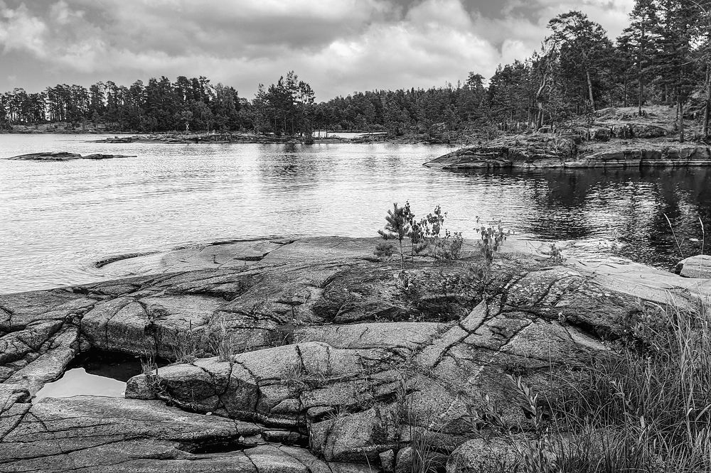 После дождя