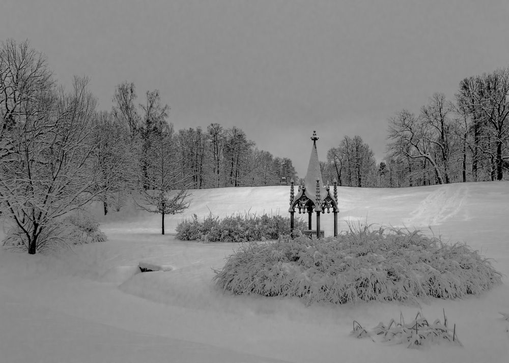 Photograph by Шутов Владимир