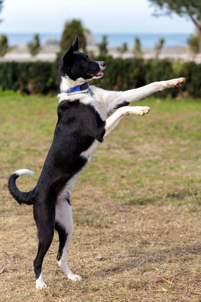 Photograph by Efremenko Nikita