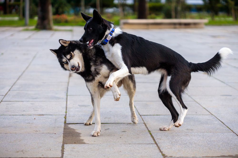 Photograph by Efremenko Nikita