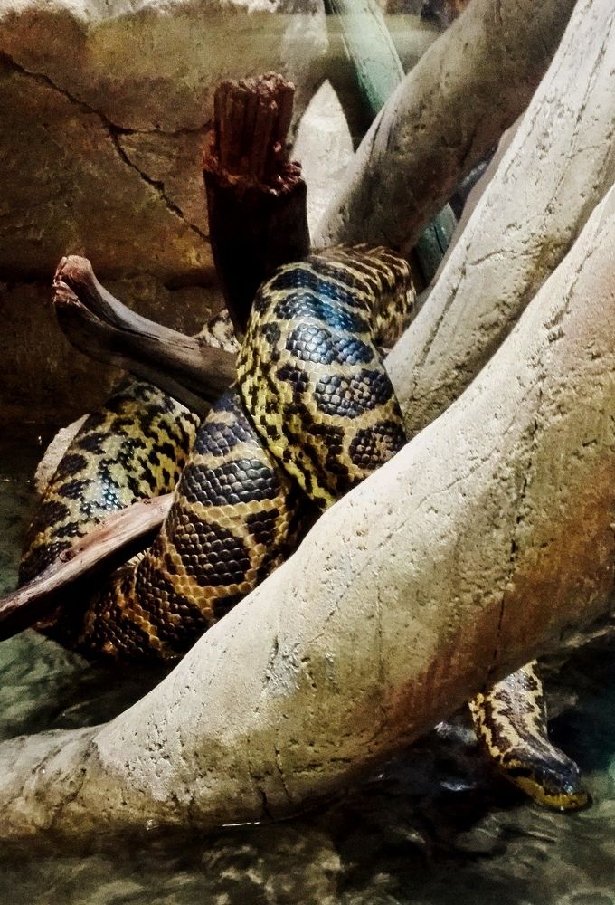 Photograph by Ия Дирко