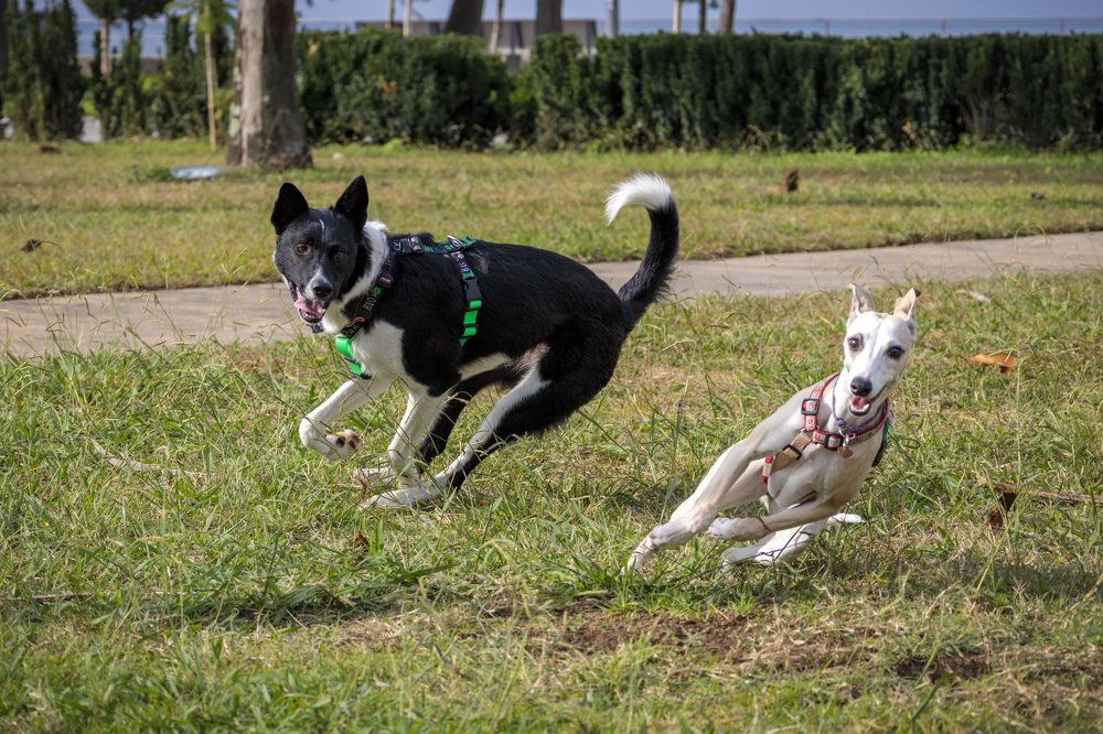 Photograph by Efremenko Nikita