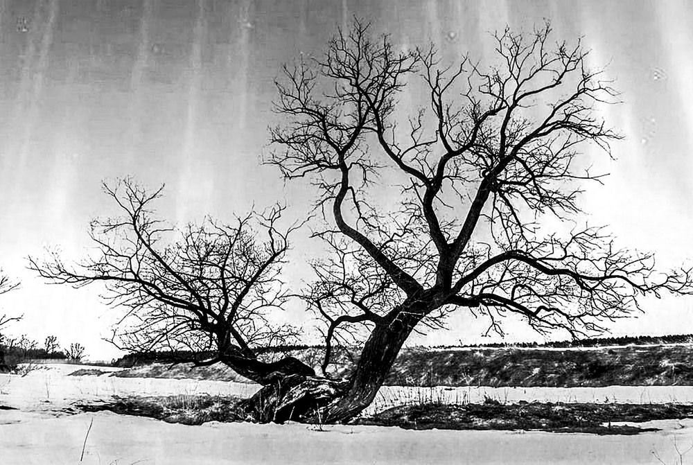 Photograph by Борис Абрамов