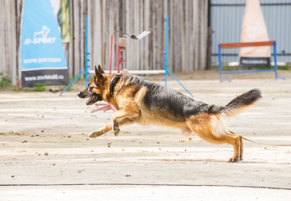 Photograph by Ирина