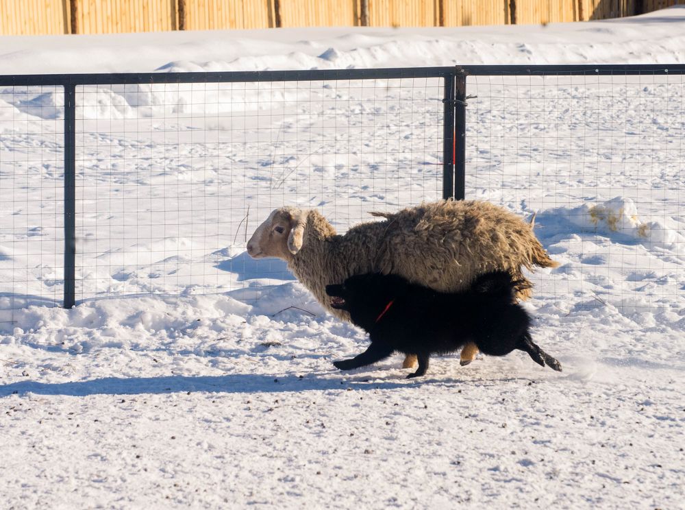 Photograph by Ирина