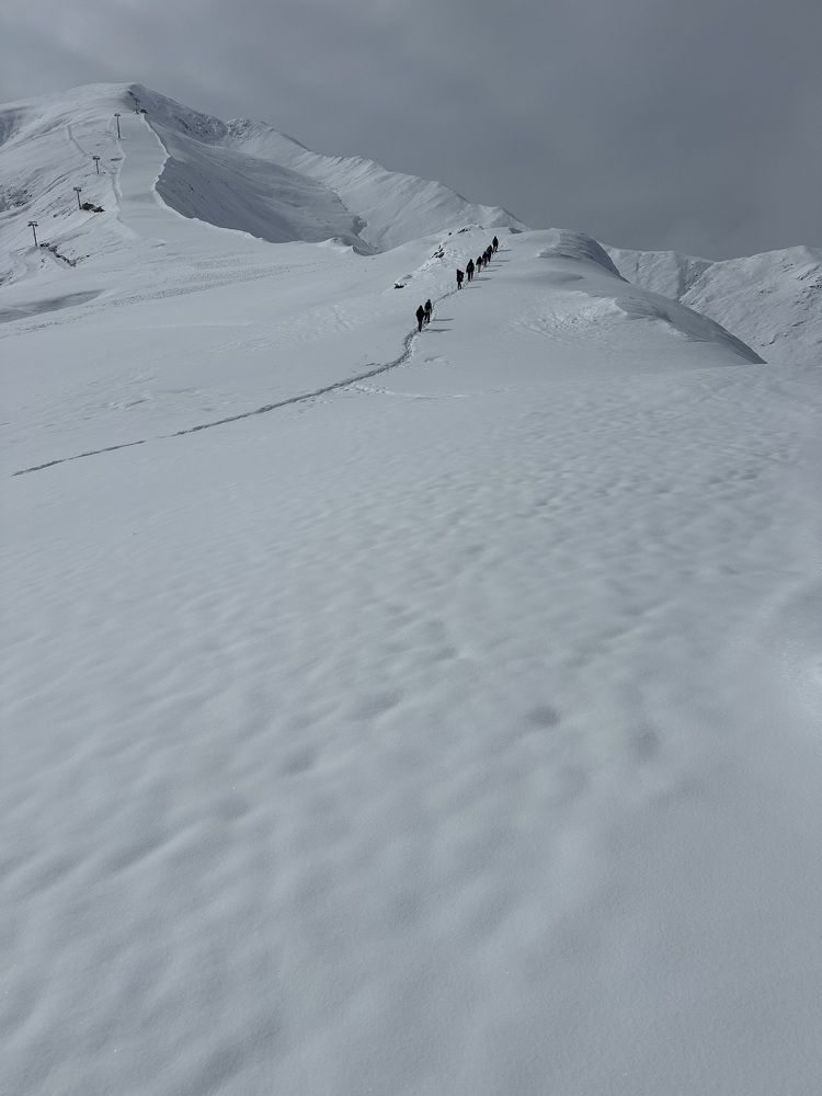 Photograph by Алексей Поляков