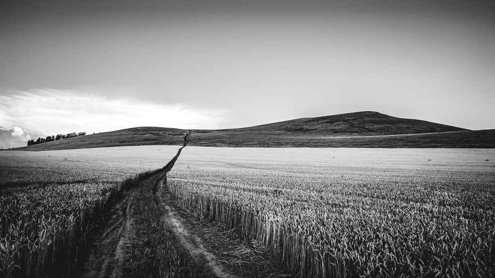 Photograph by Иван Егупов