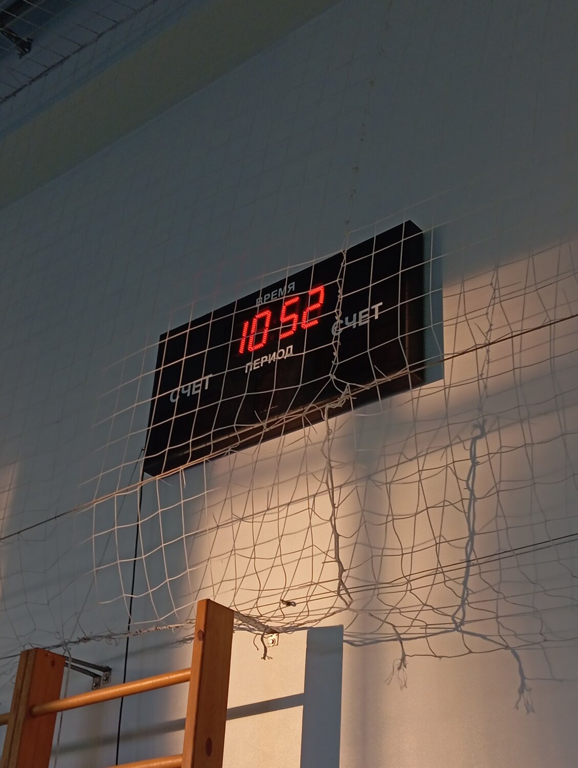 Photo #11591656