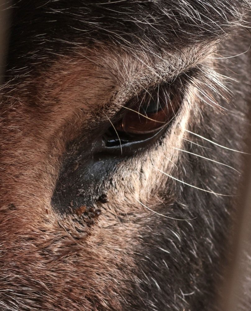 Photograph by Merav Zuberman Perkal