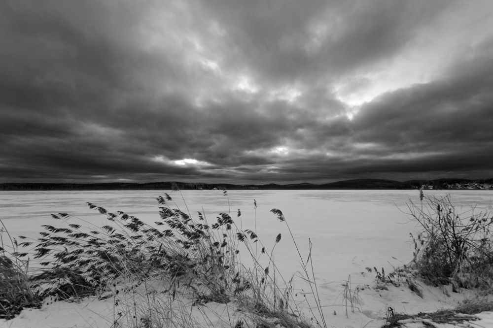 Photograph by федотов Алексей