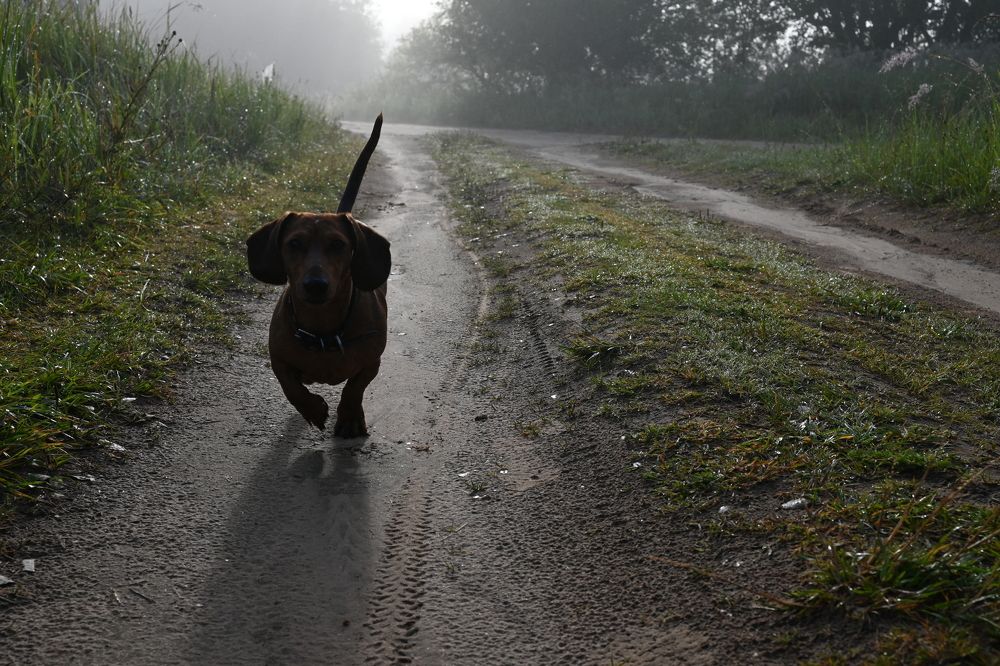 Фотография автора Irina Linina