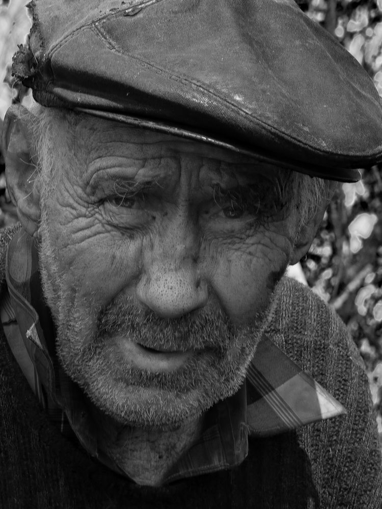 Photograph by Шутов Владимир