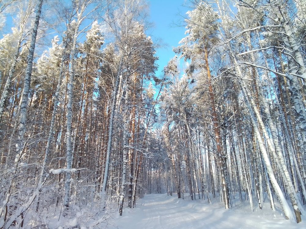 "... день чудесный ..."