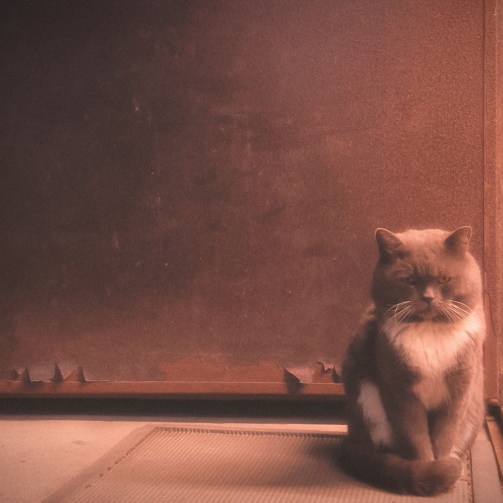 Photograph by Иван