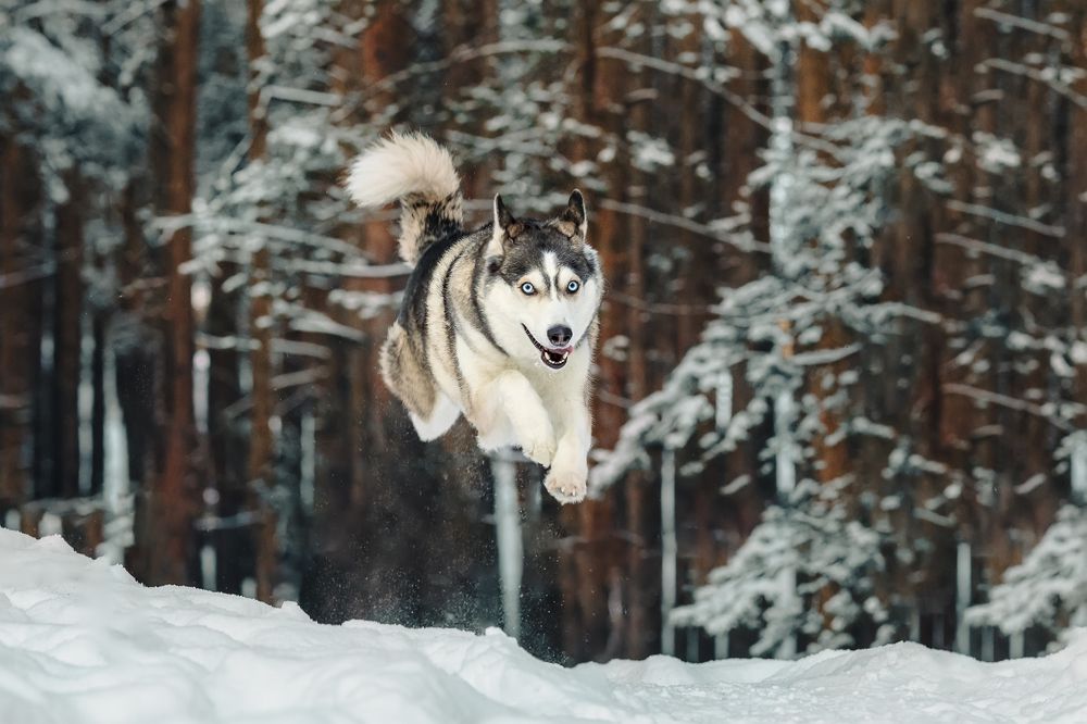 Photograph by Светлана= Гущина