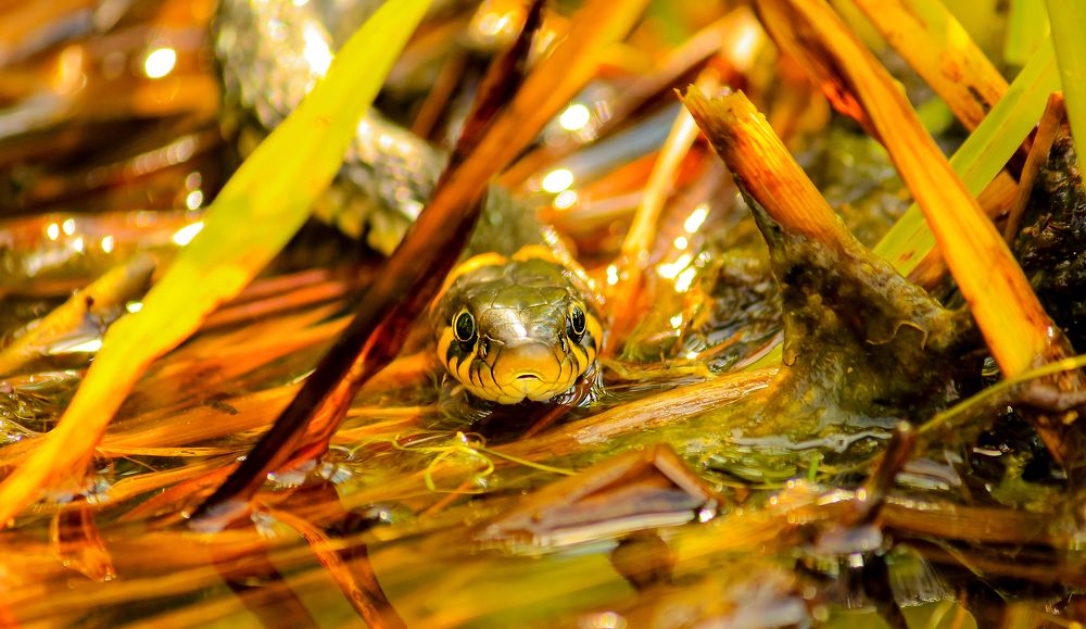 Photograph by федотов Алексей