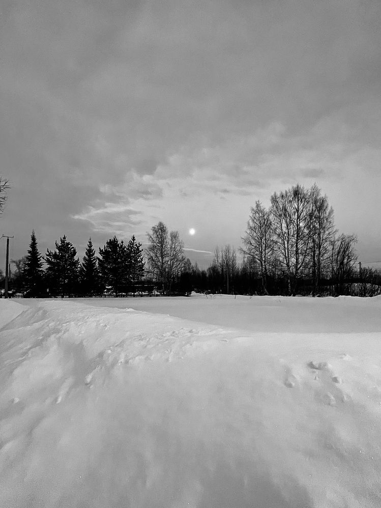 Photograph by Ирина Селиверстова