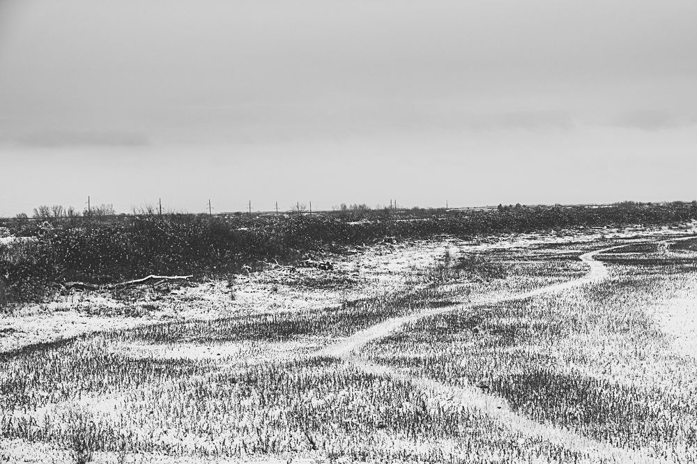 Photograph by Остапенко Алина