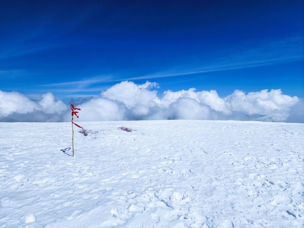 Photograph by G GOVIL