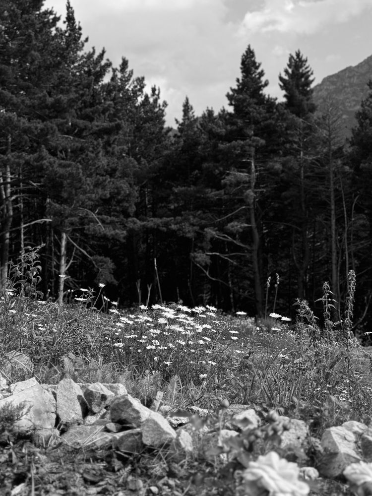 Photograph by Белла