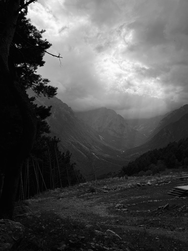 Photograph by Белла