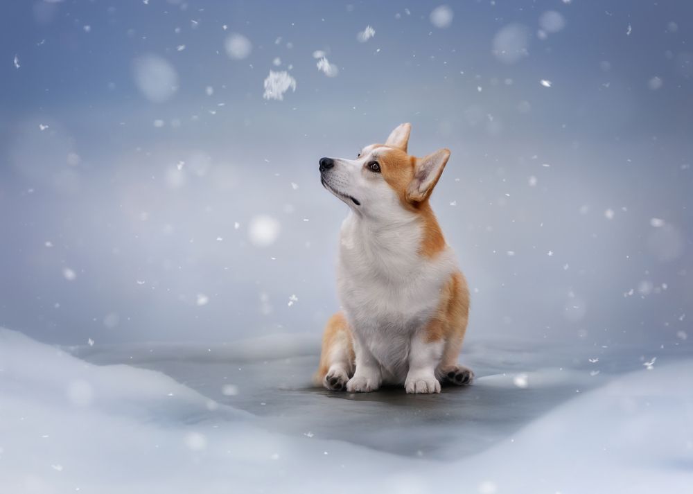 Photograph by Наталья Орел