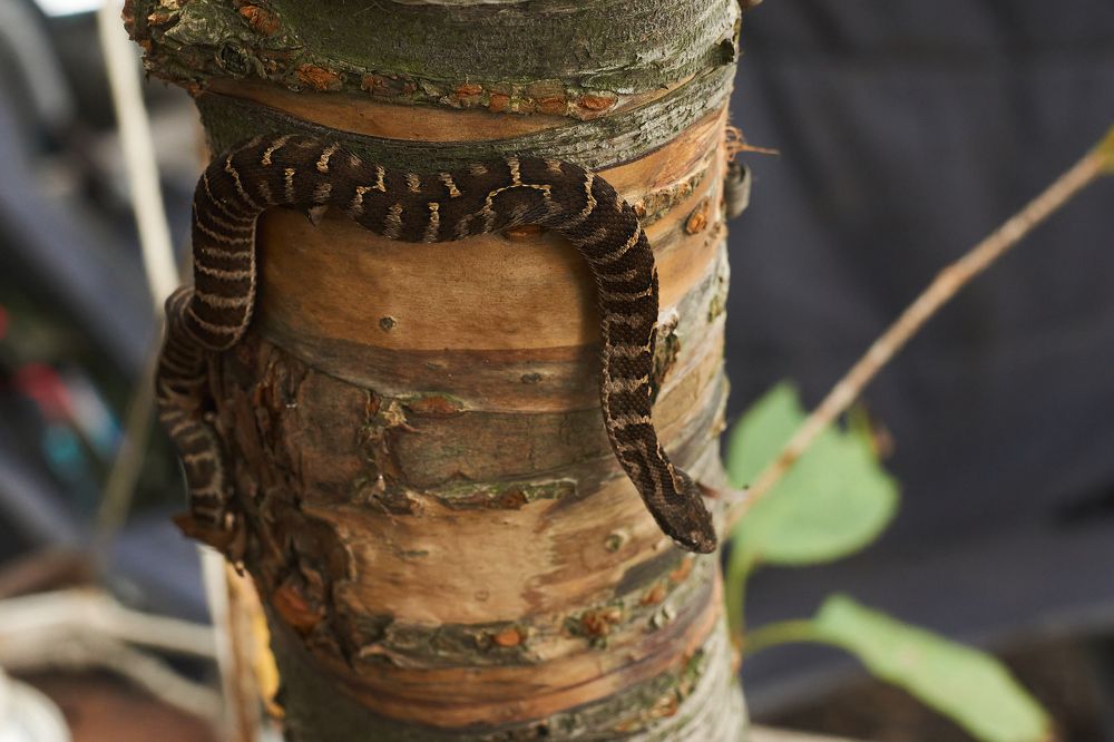 Photograph by Лариса Неман