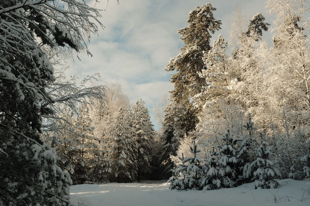 Photograph by Семен Батов