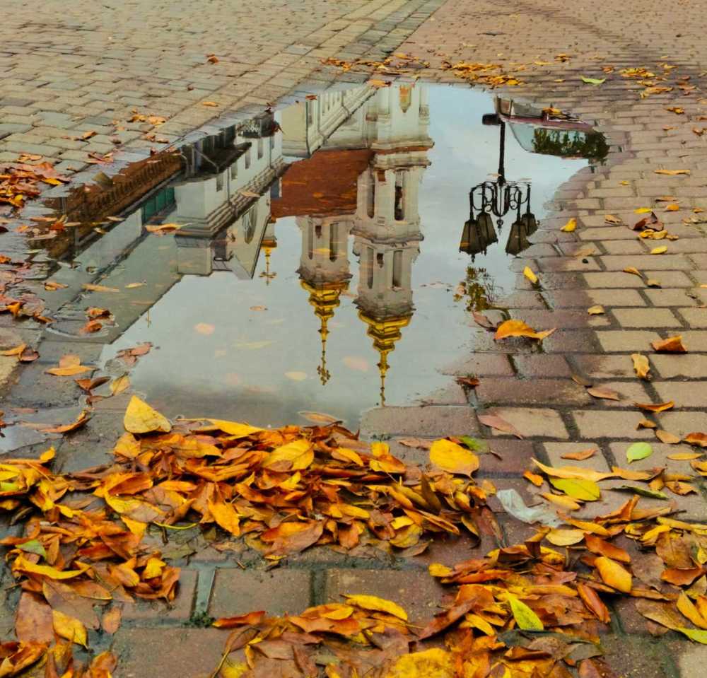 Осень - это лужи под ногами...(с)