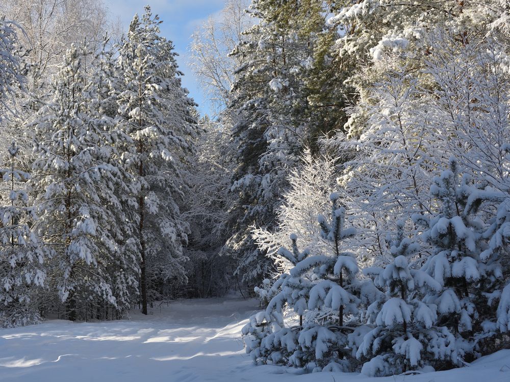 Photograph by Семен Батов