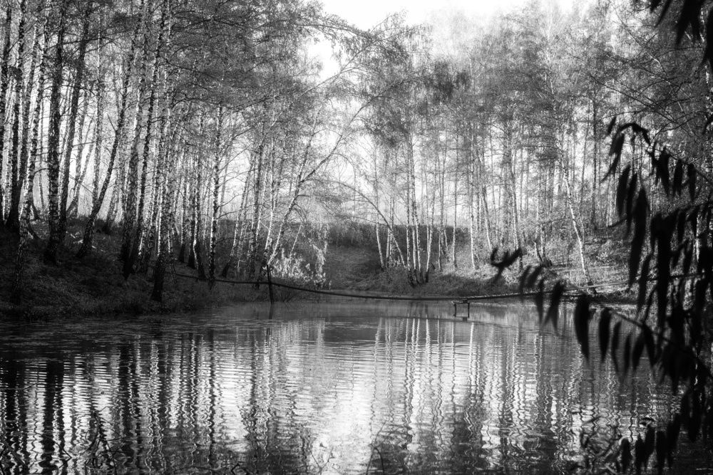 Photograph by Денис Илюхин