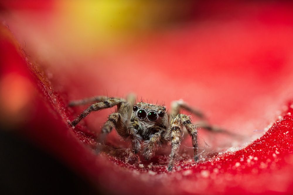 Photograph by Артём Малышев