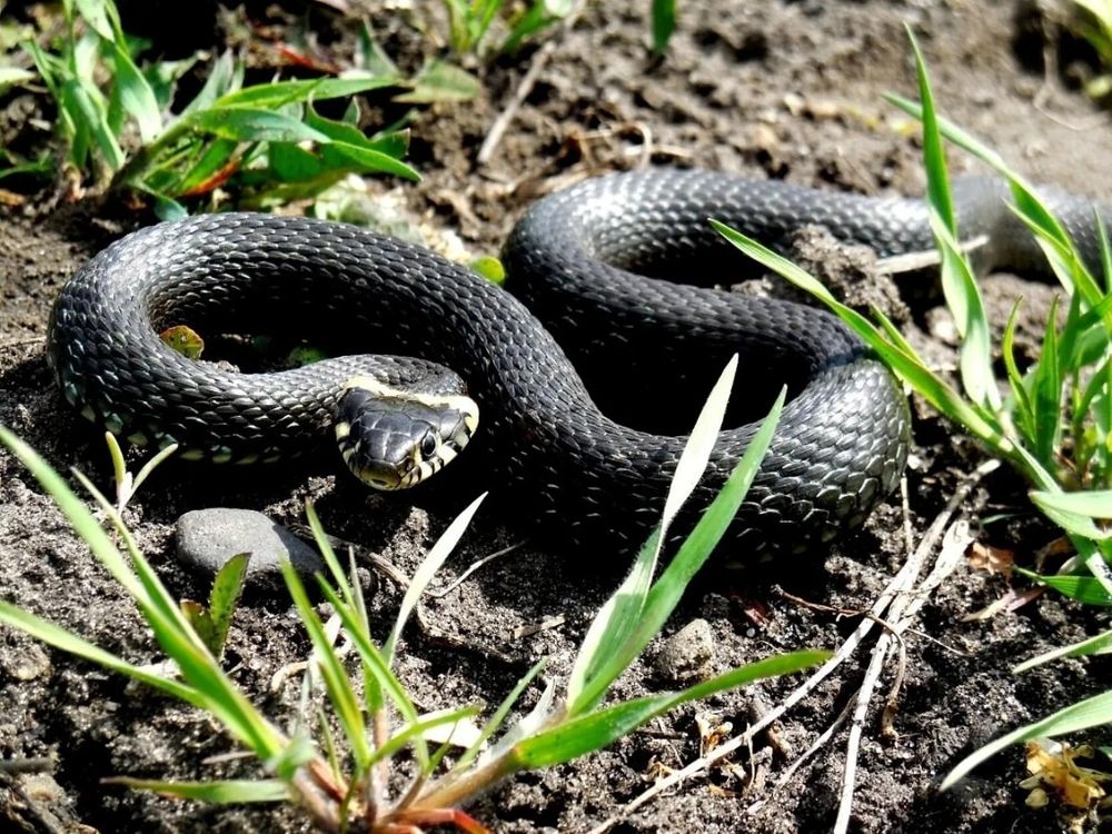 Фотография автора Павел Попов