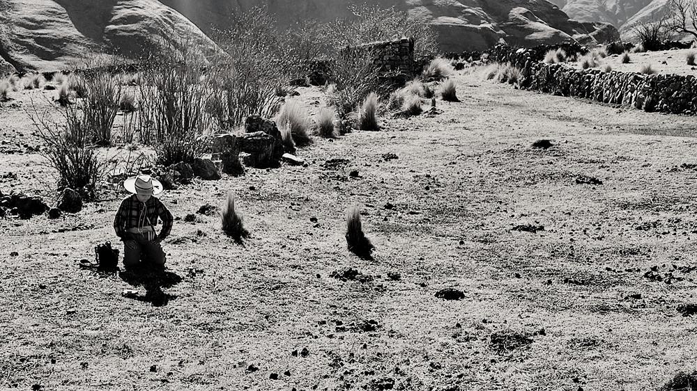 Photo #11592111