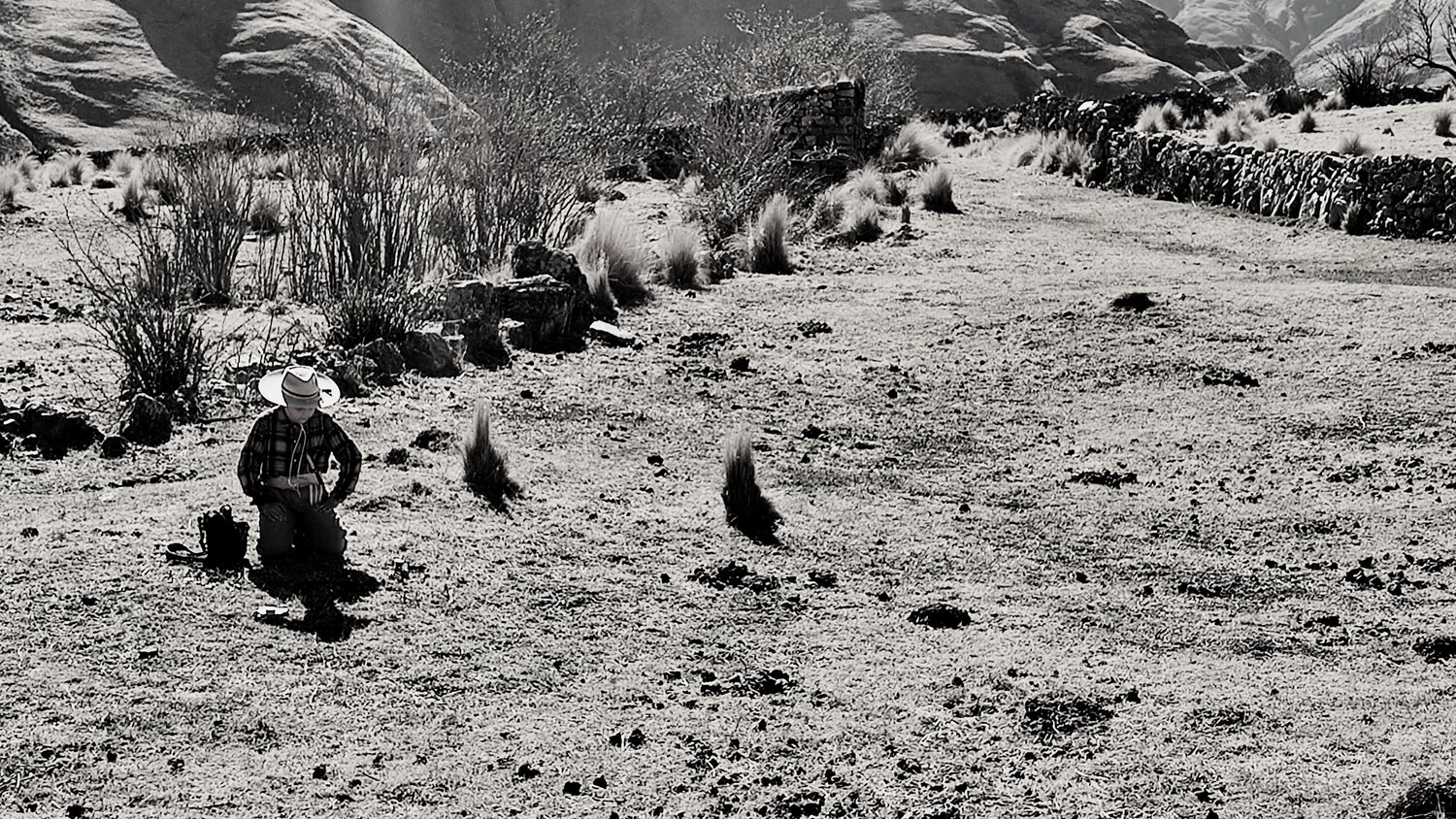 Photo #11592111