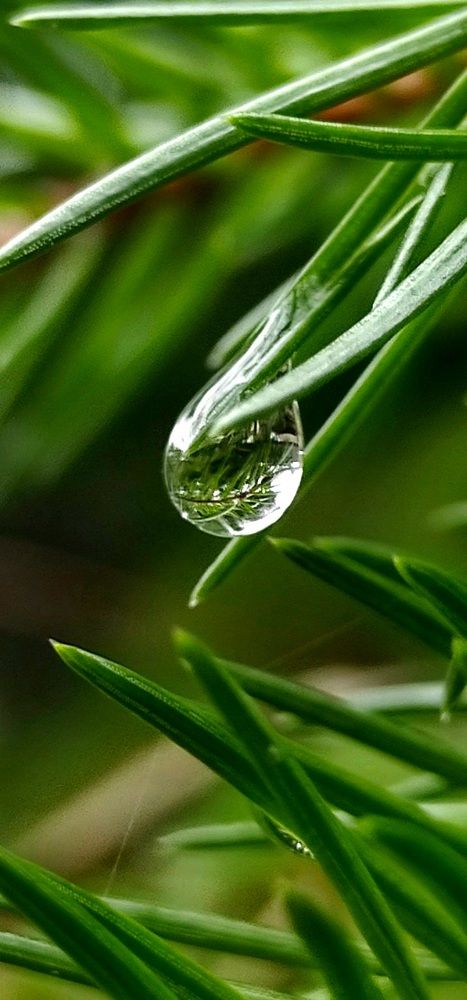 Photograph by Татьяна Солтан