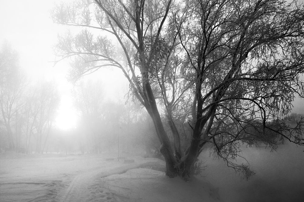 Photograph by Олеся Постнова