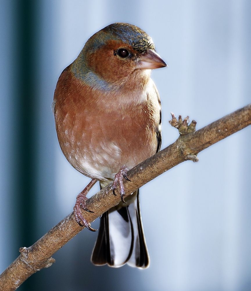Фотография автора Сергей Гречихин
