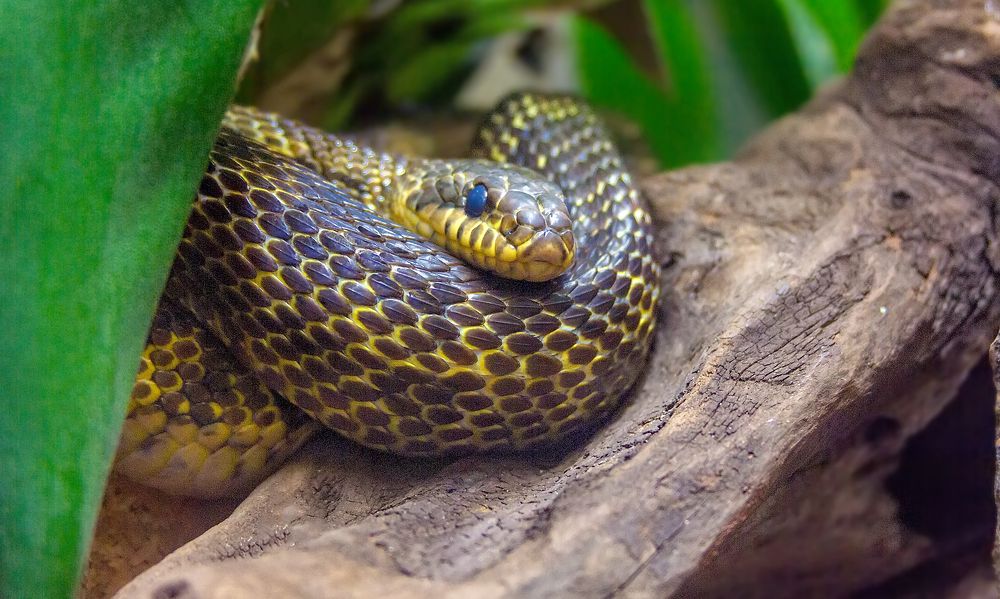 Photograph by Клясюк Галина