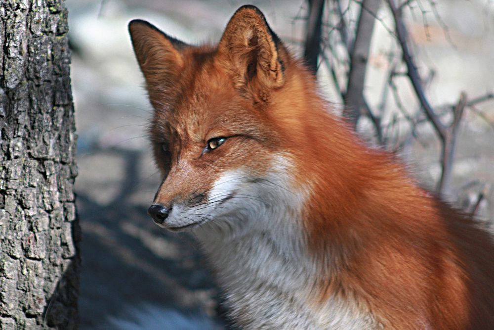 Photograph by Эдуард Попов