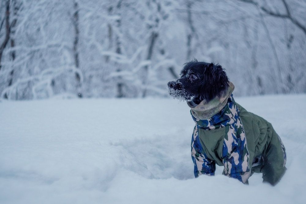 Photograph by Марина Зборацкая