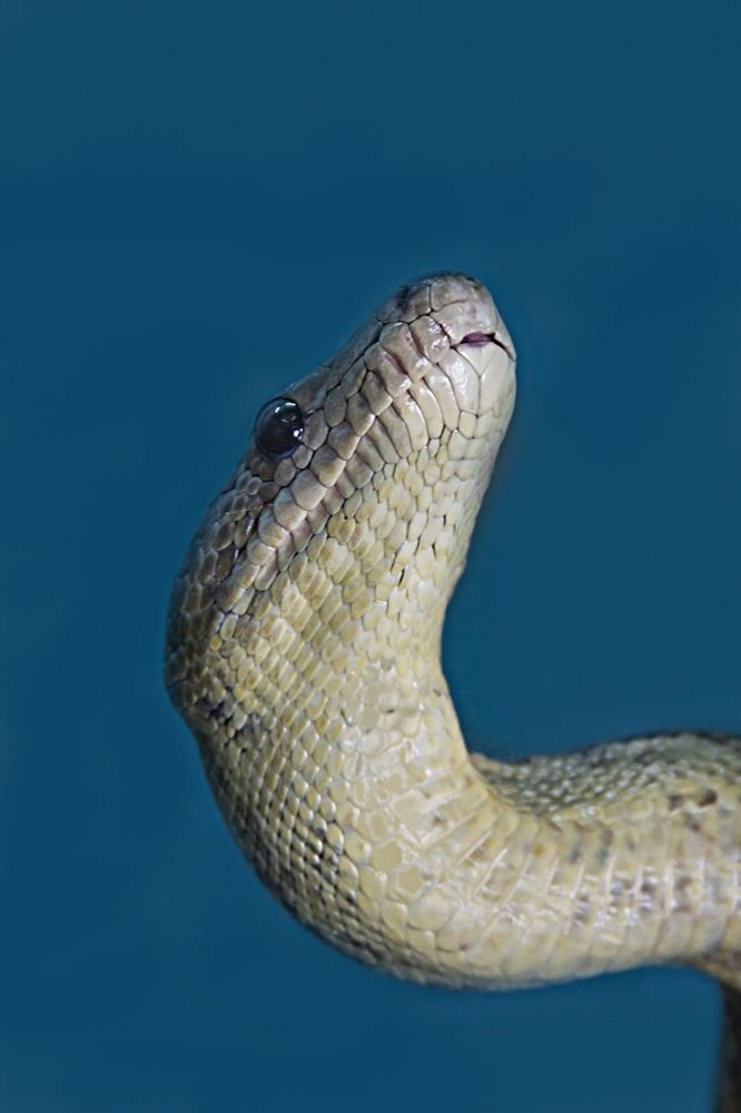 Photograph by Клясюк Галина