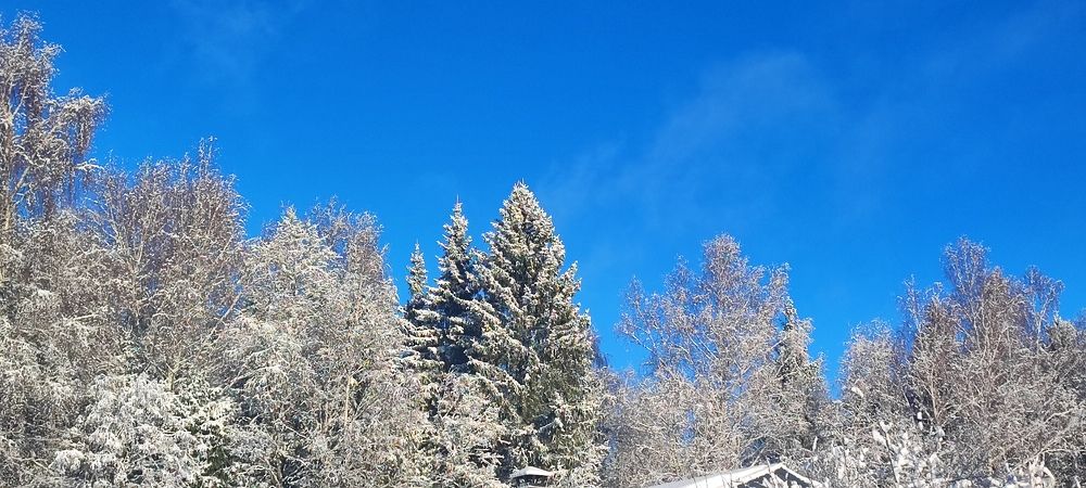 Photograph by Екатерина Александровна