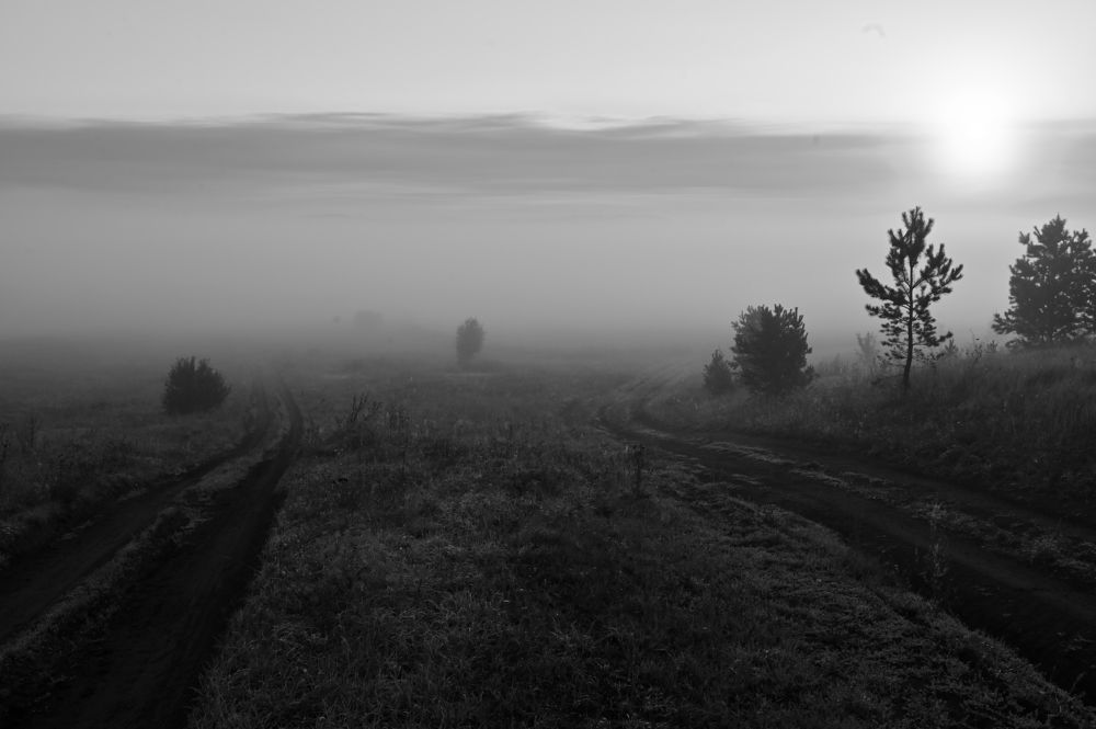 Туманное утро