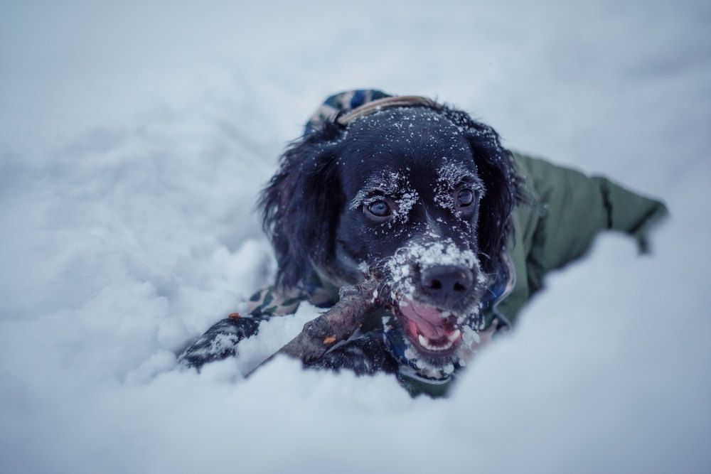 Photograph by Марина Зборацкая